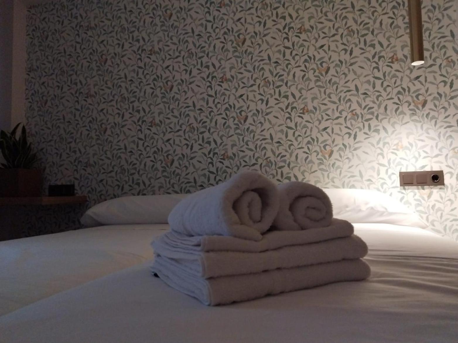 Plaza Rooms โตตานา ภายนอก รูปภาพ